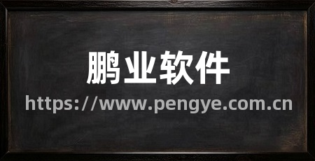 鹏业软件