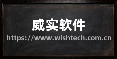 威实软件