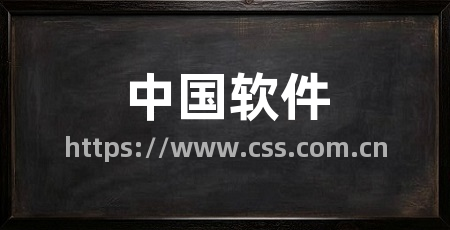 中国软件