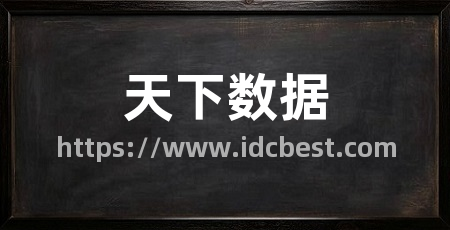 天下数据