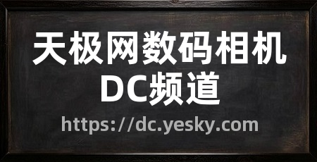 天极网数码相机DC频道