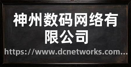 神州数码网络有限公司