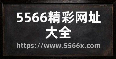 5566精彩网址大全