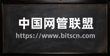 中国网管联盟