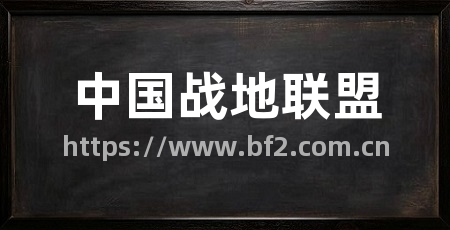 中国战地联盟