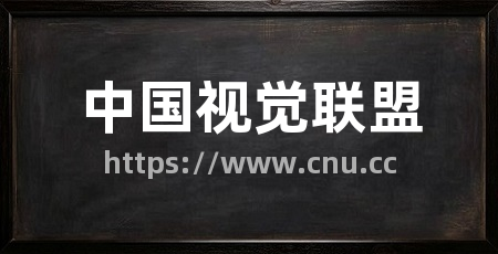 中国视觉联盟