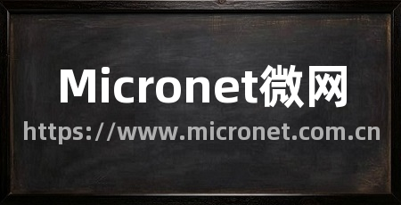 Micronet微网