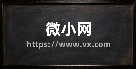 微小网