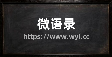 微语录