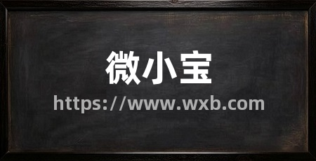 微小宝