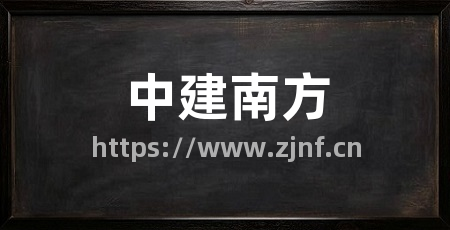 中建南方