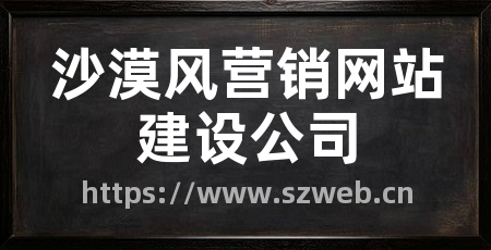 沙漠风营销网站建设公司