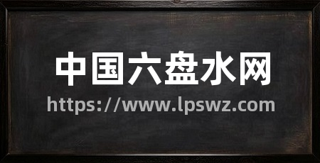 中国六盘水网