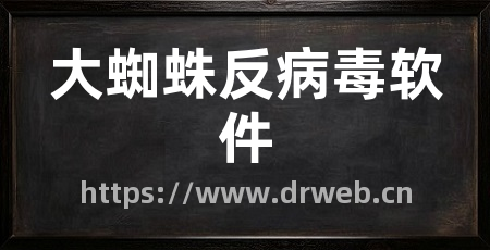 大蜘蛛反病毒软件