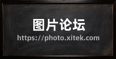 图片论坛