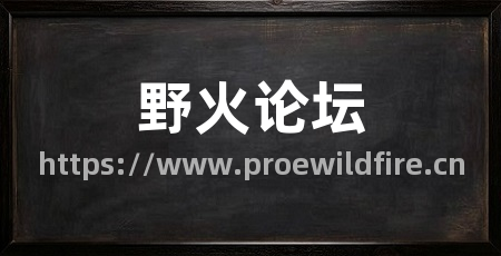 野火论坛