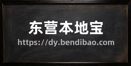 东营本地宝