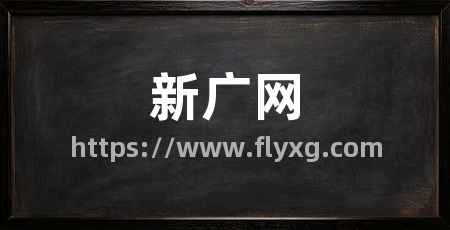 新广网