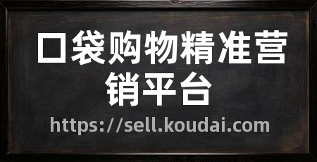 口袋购物精准营销平台
