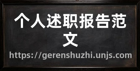 个人述职报告范文