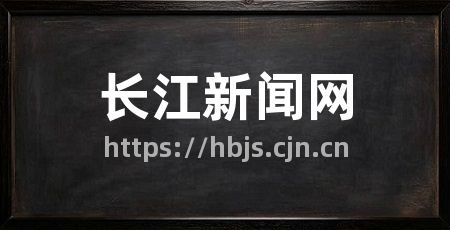 长江新闻网
