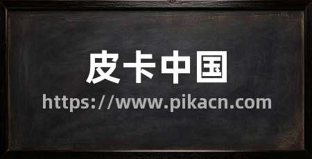 皮卡中国