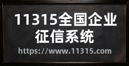 11315全国企业征信系统