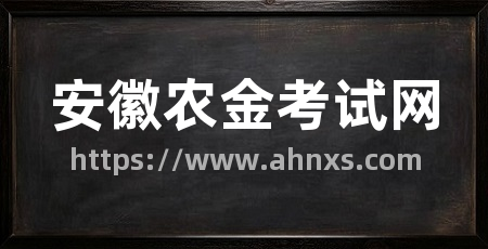 安徽农金考试网