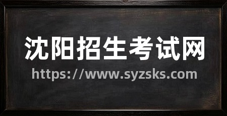 沈阳招生考试网