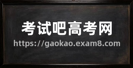 考试吧高考网