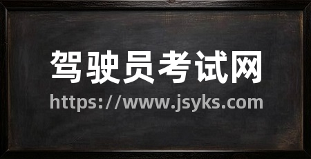 驾驶员考试网