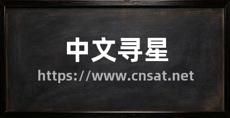 中文寻星