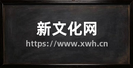 新文化网