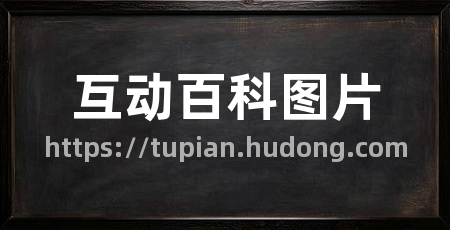 互动百科图片