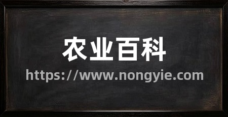 农业百科