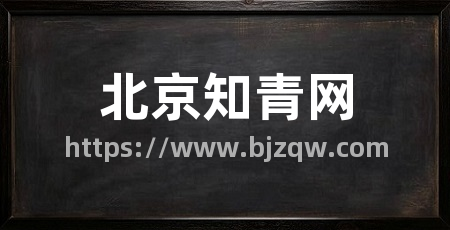 北京知青网