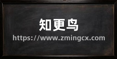 知更鸟