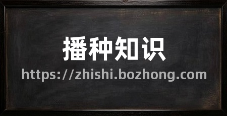 播种知识