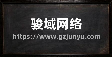 骏域网络