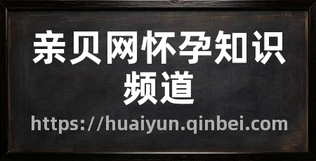 亲贝网怀孕知识频道