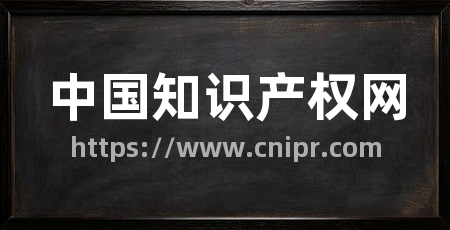 中国知识产权网