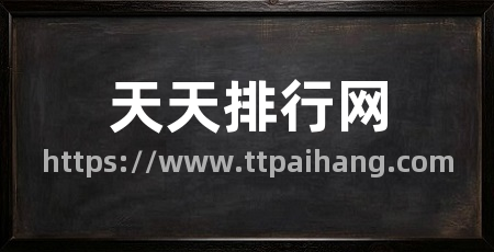 天天排行网