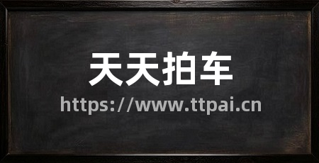 天天拍车