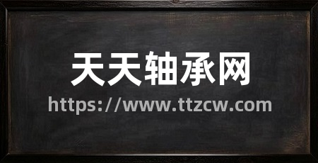 天天轴承网