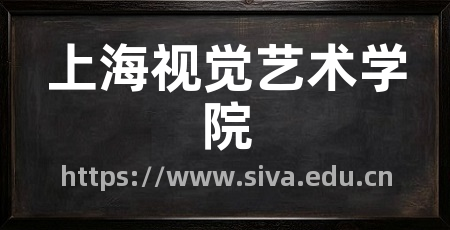 上海视觉艺术学院