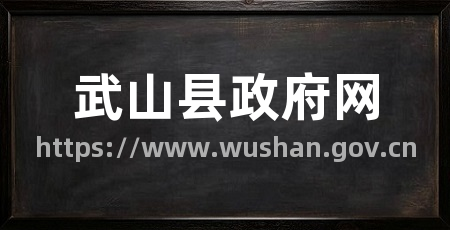 武山县政府网