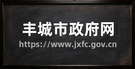 丰城市政府网