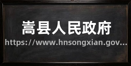 嵩县人民政府