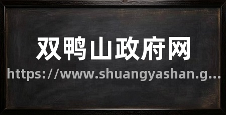 双鸭山政府网