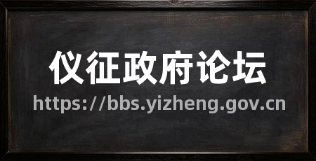 仪征政府论坛